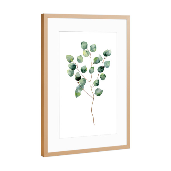 Poster mit Rahmen Kupfer "Watercolor Eucalyptus" artboxONE - Floral - Eucalyptus
