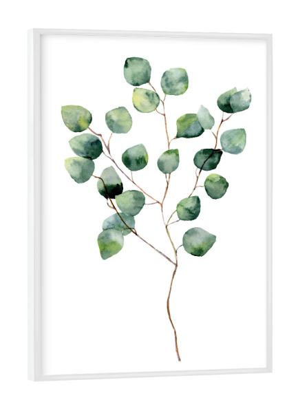 Poster mit weißem Rahmen "Watercolor Eucalyptus" artboxONE - Floral - Eucalyptus