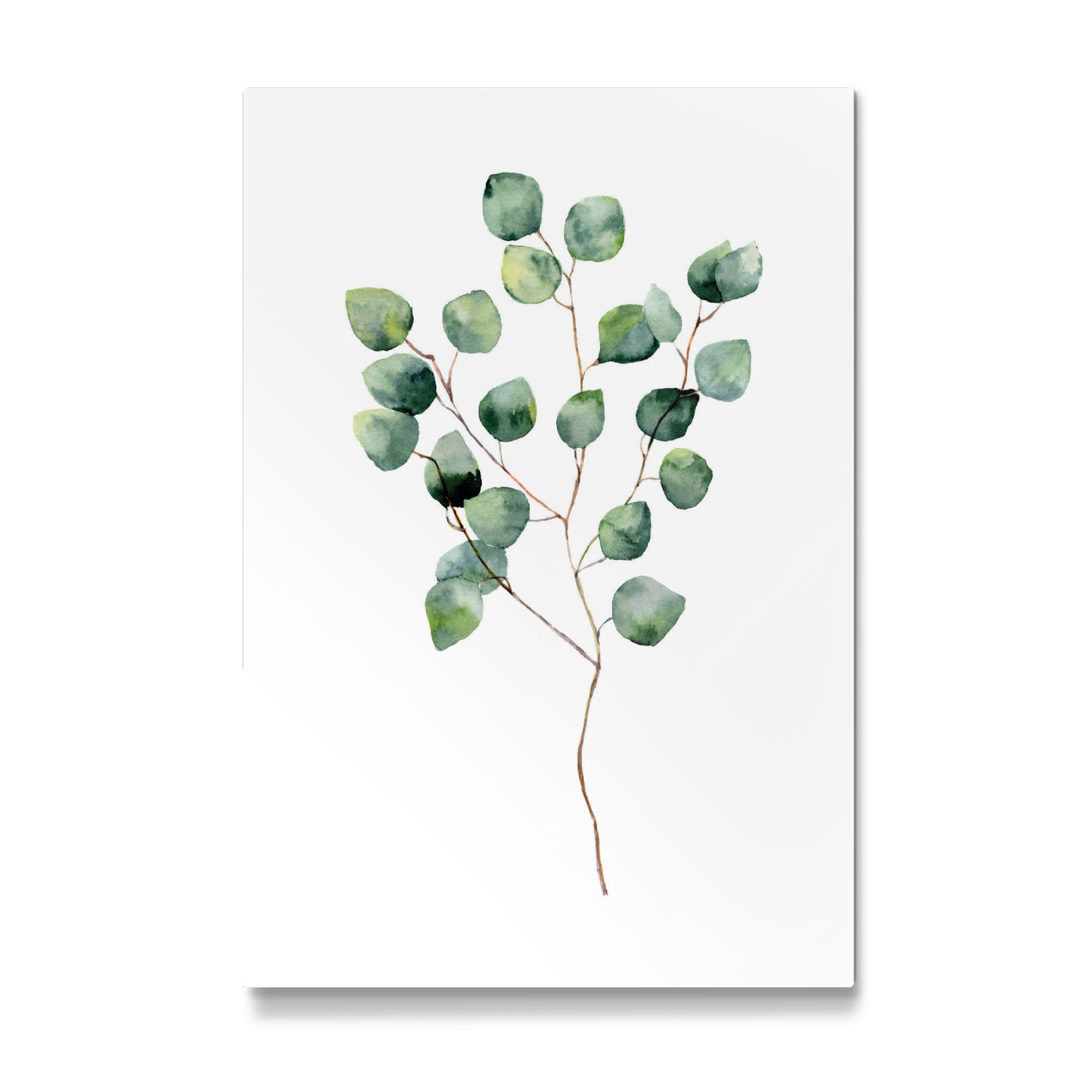 Galerie-Print "Watercolor Eucalyptus" 30x20 cm artboxONE