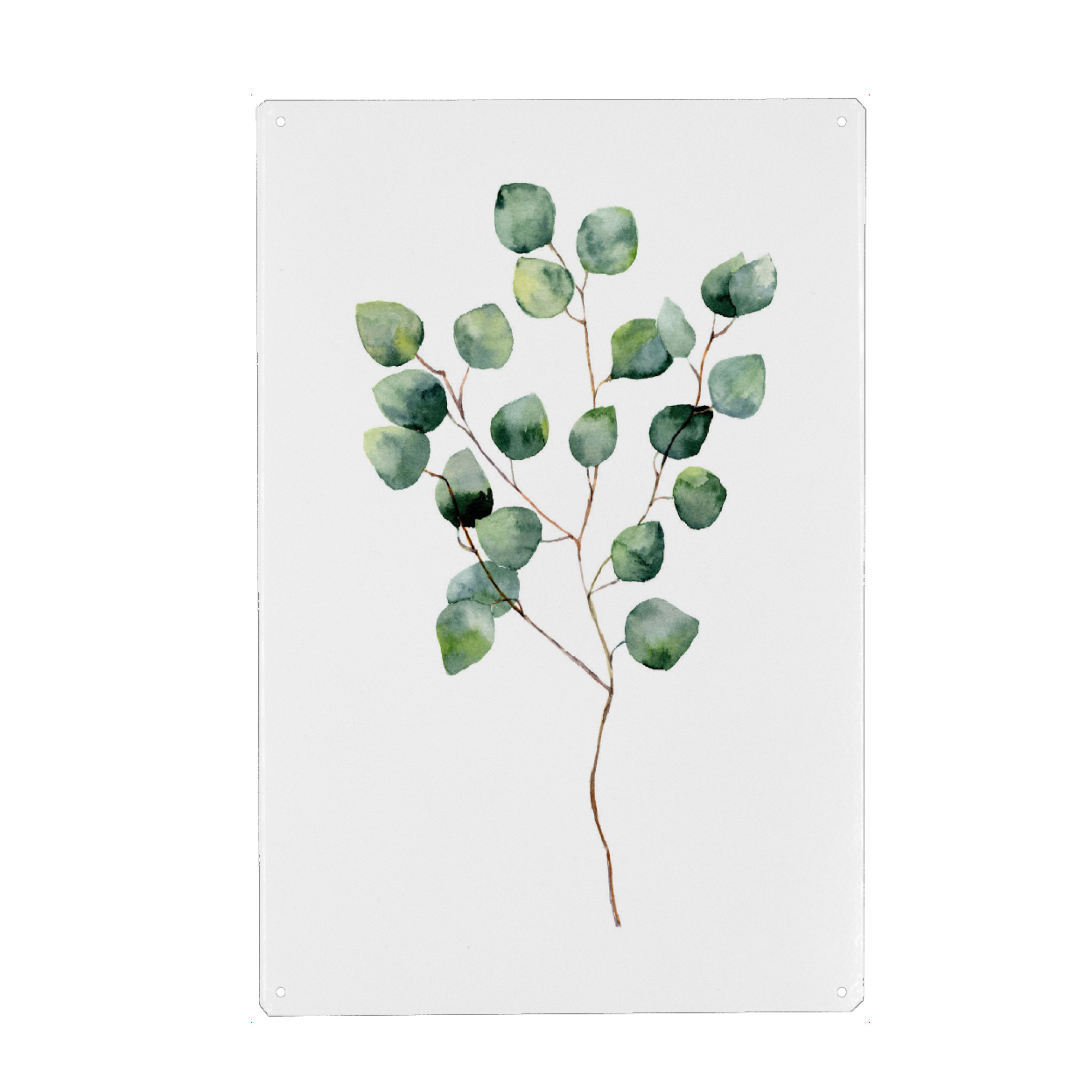 Metall Poster "Watercolor Eucalyptus" artboxONE - Floral - Eucalyptus - Blechschild