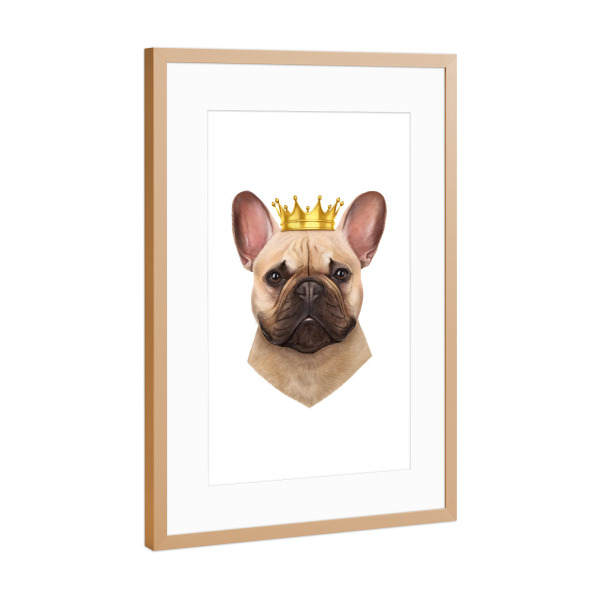 Poster mit Rahmen Kupfer "French bulldog with crown" artboxONE - Natur,Tiere,Lustig - Dog,Bulldog,Hund,Bulldogge