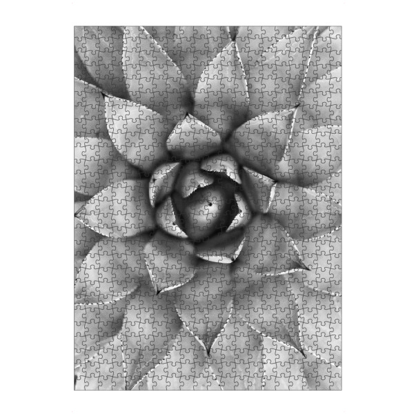 Puzzle Ravensburger "Agave Photography" artboxONE - Natur,Floral,Schwarzweiß - Agave,Cactus,Succulent,Kaktus,Succulente - Bild agave