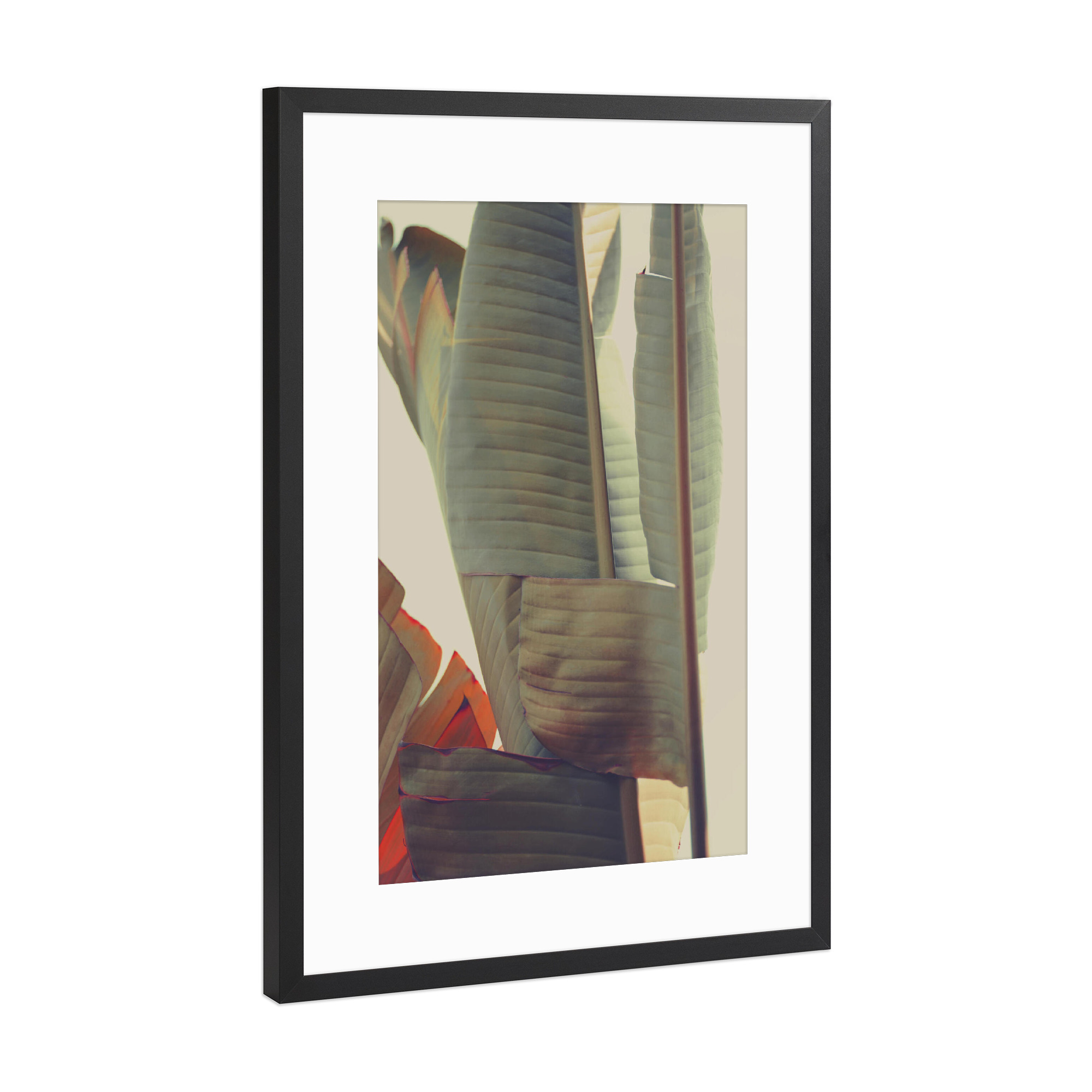 Poster mit Rahmen Schwarz (Metallic) "Bananarama" artboxONE - Natur,Floral - Leaf,Leaves,Blatt,Blätter,Plant,Pflanze