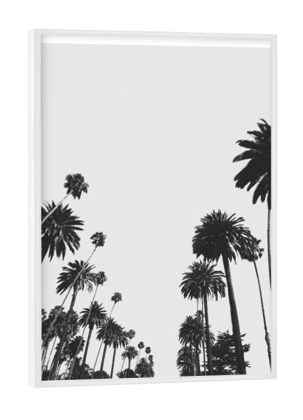 Poster mit weißem Rahmen "California Palm Trees" artboxONE - Natur,Schwarzweiß,Reise / Strand und Meer,Städte / Los Angeles