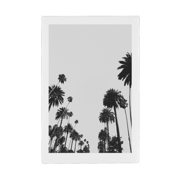 Holzbild "California Palm Trees" artboxONE - Natur,Schwarzweiß,Reise / Strand und Meer,Städte / Los Angeles - Palm,Palms,La,Los angeles