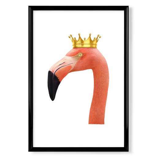 King flamingo