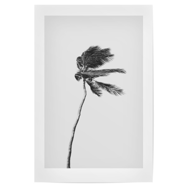 Poster "Lonely Palm Tree" artboxONE - Natur,Reise / Strand und Meer - Palm beach wall art,Palm
