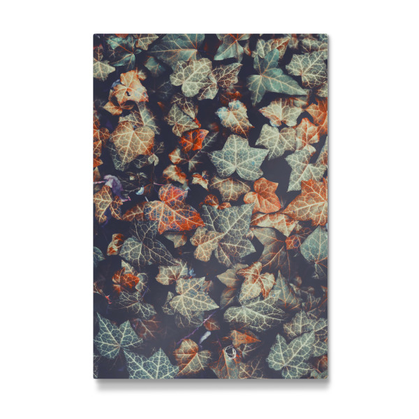 Galerie-Print "Herbstliche Efeublätter" 30x20 cm artboxONE