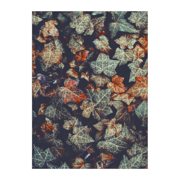 artboxONE Puzzle "Herbstliche Efeublätter" artboxONE - Floral - Efeu - Bild efeu