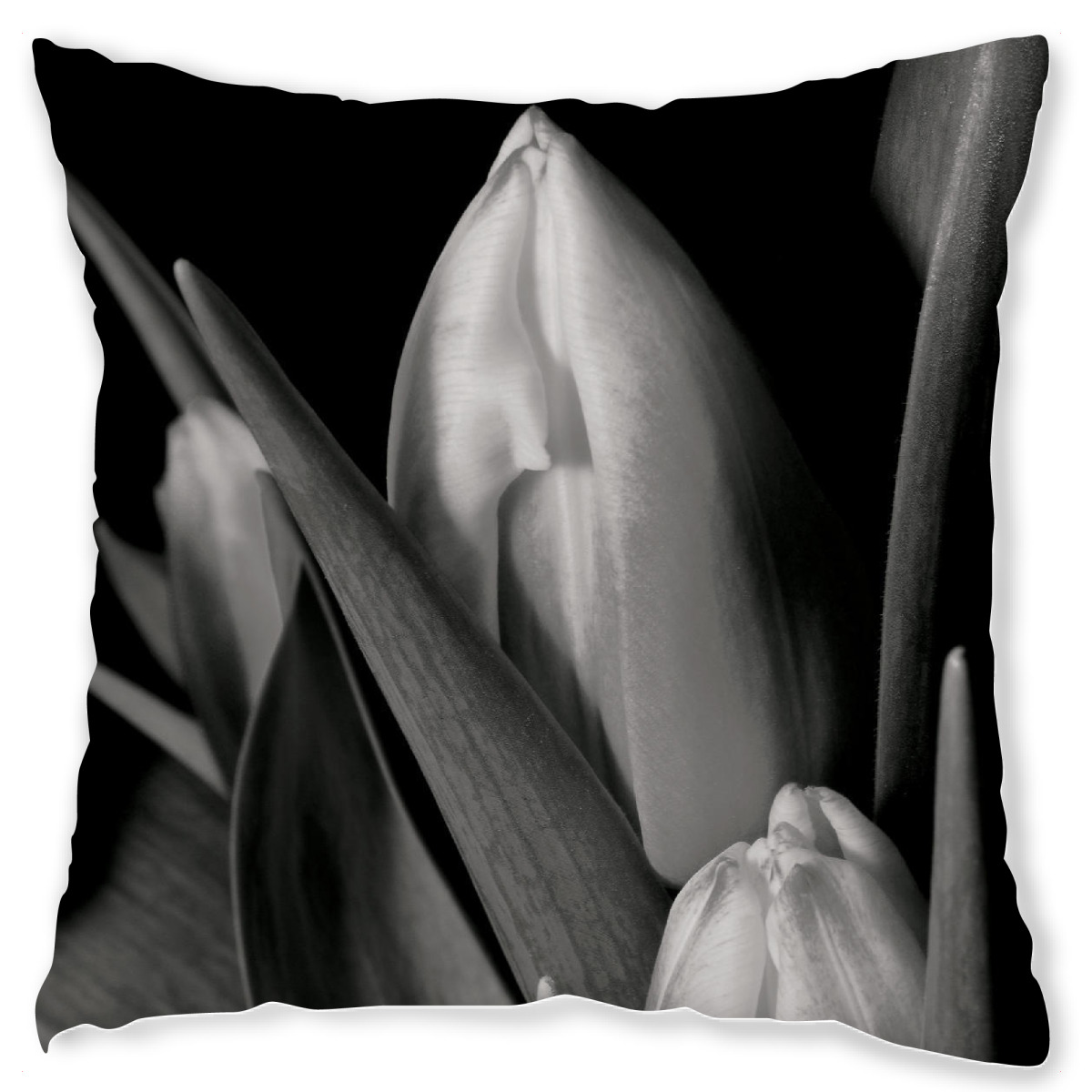 Design-Kissen "Black and White Lotus" artboxONE - Floral,Schwarzweiߟ - Lotus