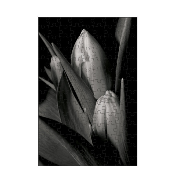 artboxONE Puzzle "Black and White Lotus" artboxONE - Floral,Schwarzweiß - Lotus - Bild lotus