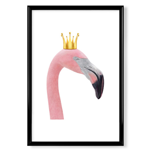 Queen flamingo