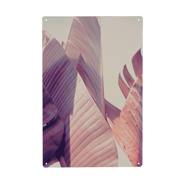 Holzbild "Banana_leaves_rose" artboxONE - Floral - Bananenblätter,Banana leaves