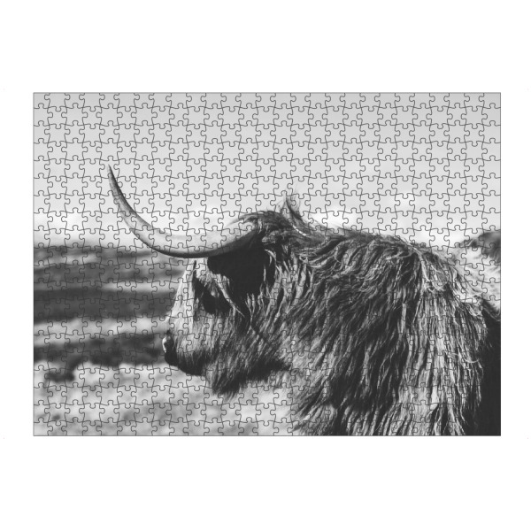 Puzzle Ravensburger "HIGHLAND COW PHOTOGRAPHY" artboxONE - Tiere,Schwarzweiß - Highland cow - Bild highland cow