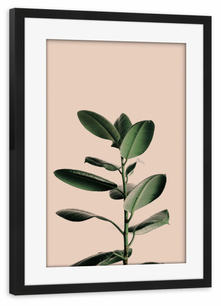 Poster mit Rahmen schwarz "Tropical Plant" artboxONE - Natur,Floral - Leaf,Leaves,Plant,Pflanze,Blatt,Blätter