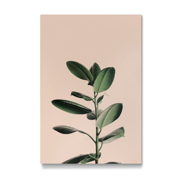 Galerie-Print "Tropical Plant" 30x20 cm artboxONE