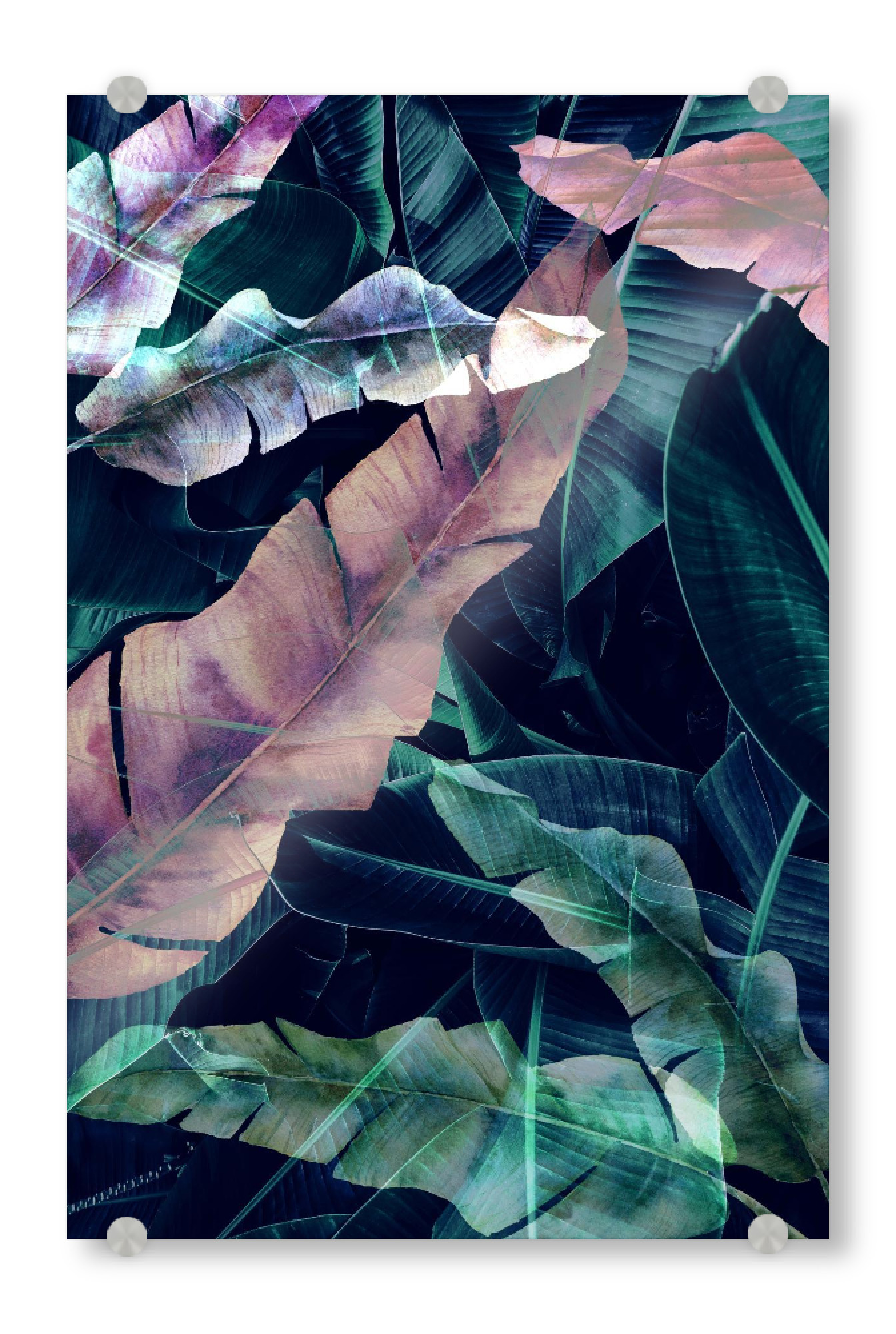 Acrylglasbild "Banana Leaves Art" artboxONE - Natur,Abstrakt - Banana leaves,Leaf,Leaves,Blatt,Blätter