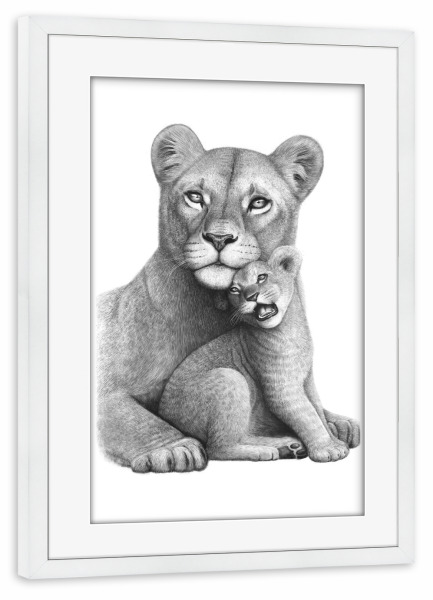 Poster mit Rahmen weiß "Lioness with a baby" artboxONE - Tiere,Schwarzweiß,Liebe,Für Mama - Lion,Lioness,Mother,Love,Löwe