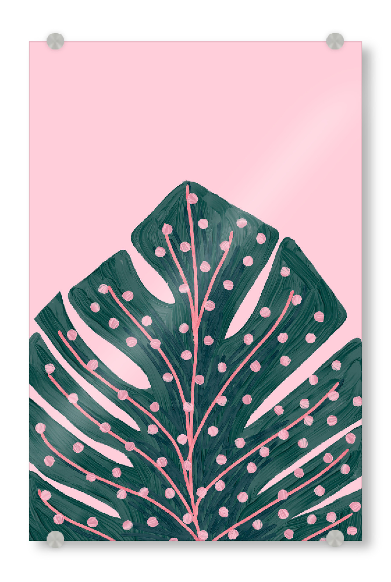 Acrylglasbild "Polka Dots Monstera" artboxONE - Floral - Monstera,Leaf,Plant,Blatt,Pflanze