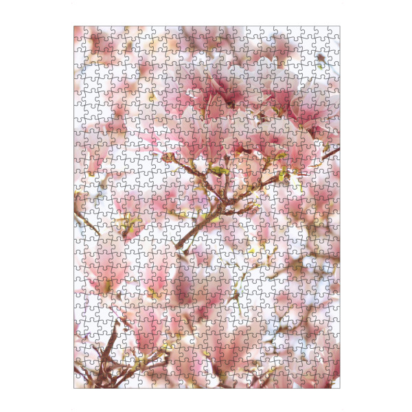 Puzzle Ravensburger "Magnolienblüten" artboxONE - Natur,Floral - Magnolie,Magnolia,Blossom,Blüte,Flower,Blume - Bild magnolie