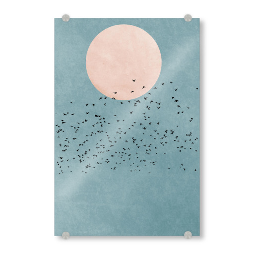 Fly away into the sun