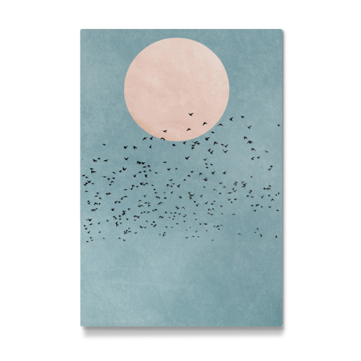 Fly away into the sun