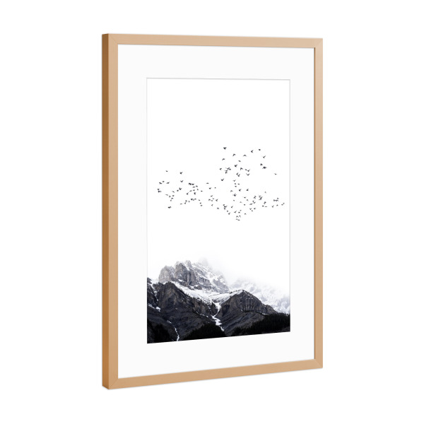 Poster mit Rahmen Kupfer "The Mountains Are Free" artboxONE - Natur,Tiere,Schwarzweiß - Birds,Vögel,Mountain,Berg