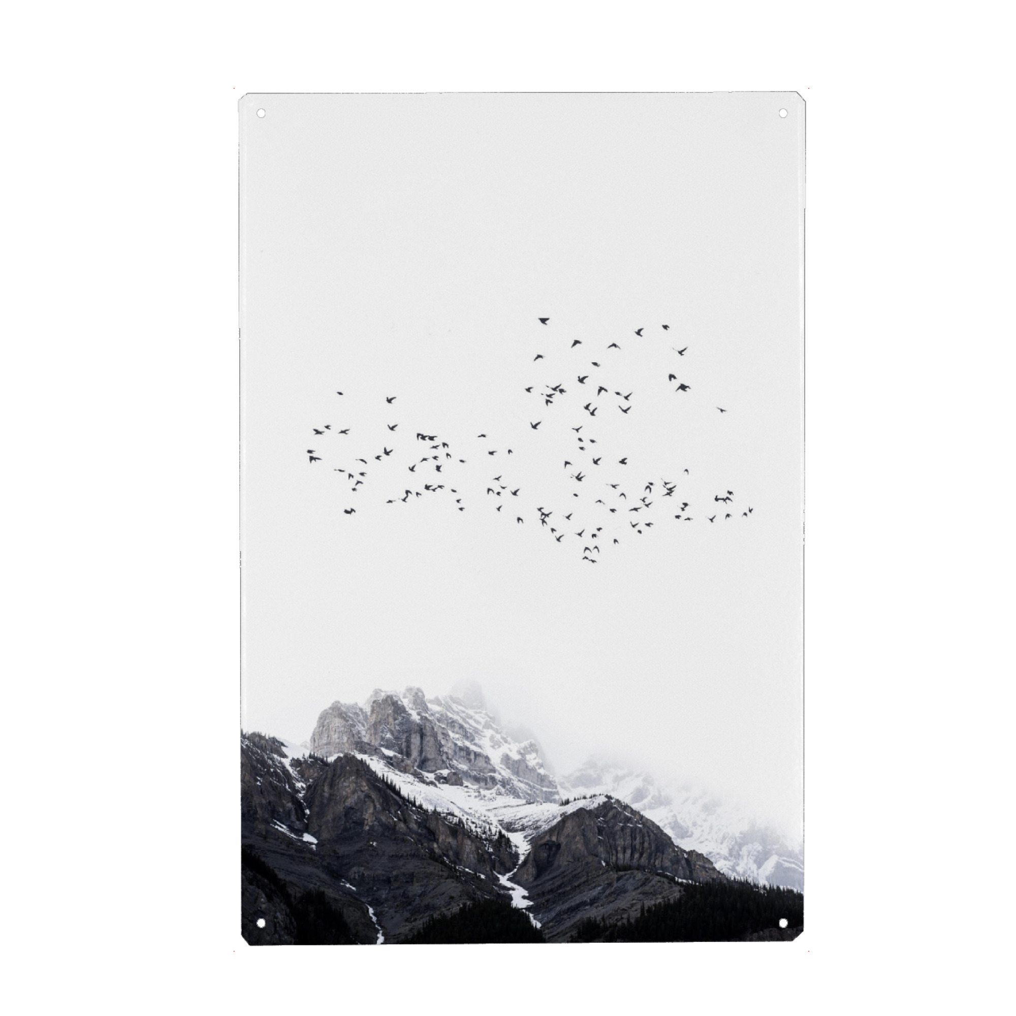 Holzbild "The Mountains Are Free" artboxONE - Natur,Tiere,Schwarzweiß - Birds,Vögel,Mountain,Berg