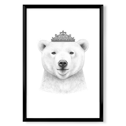 Queen bear