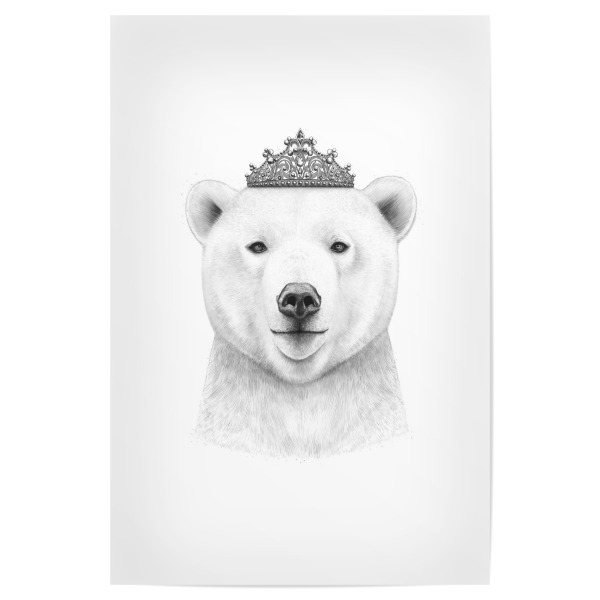 Poster 30x20 cm "Queen bear" artboxONE - Tiere,Schwarzweiß - Bear,Bär,Eisbär,Polarbear,Crown,Krone,Queen