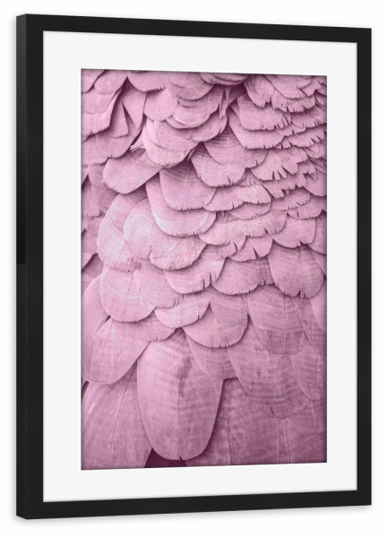 Poster mit Rahmen schwarz "Rosé Feathers" artboxONE - Tiere,Abstrakt - Feder,Feather,Federn,Feathers