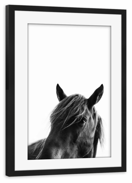 Poster mit Rahmen schwarz "Black And White Beauty" artboxONE - Tiere,Schwarzweiß - Pferd,Horse
