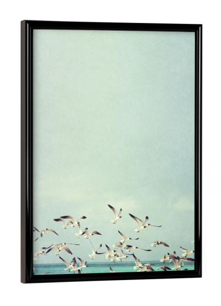 Poster mit schwarzem Rahmen "Rising High" artboxONE - Tiere - Vögel