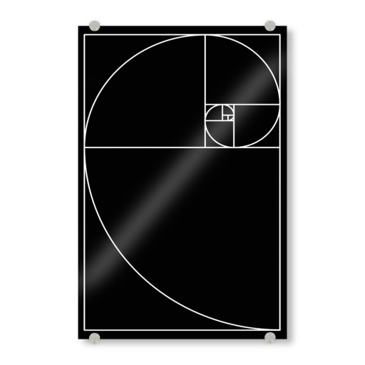 Proportio devina black