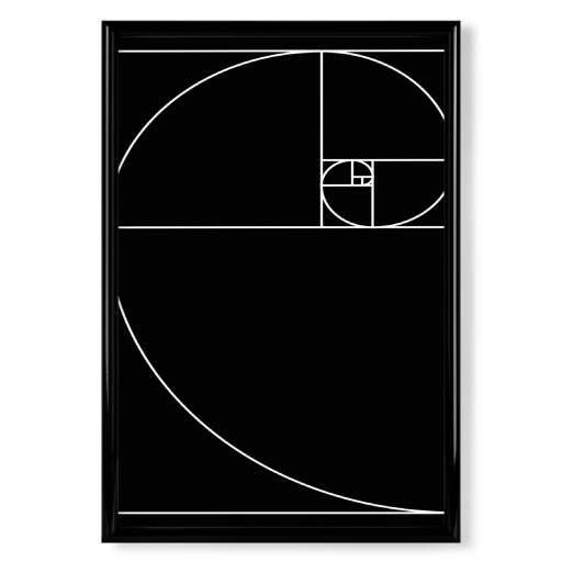 Proportio devina black