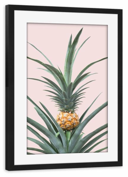 Poster mit Rahmen schwarz "Pineapple Plant" artboxONE - Floral - Pineapple,Plant,Pflanze,Ananas,Leaf,Leaves,Blatt,Blätter