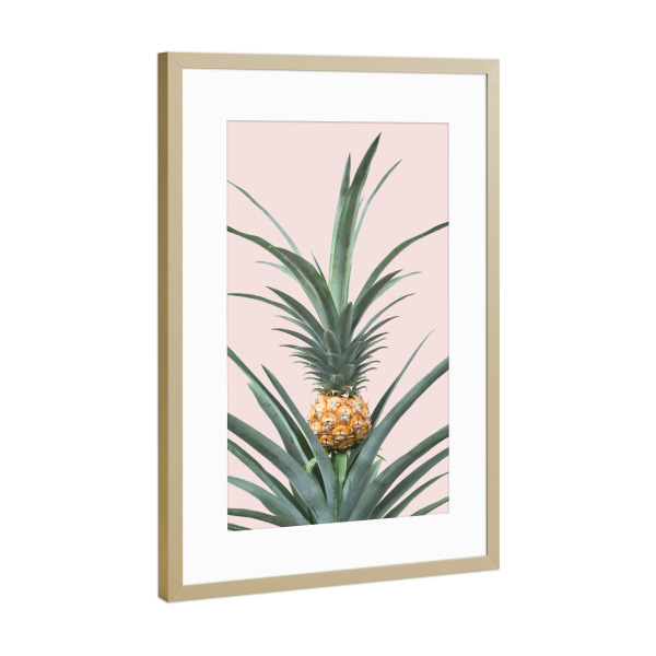 Poster mit Rahmen Gold "Pineapple Plant" artboxONE - Floral - Pineapple,Plant,Pflanze,Ananas,Leaf,Leaves,Blatt,Blätter