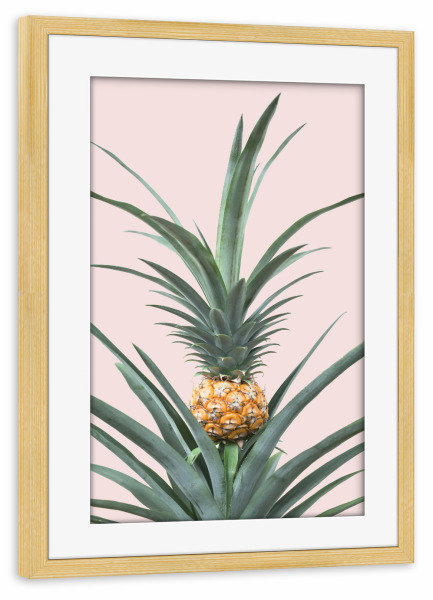 Poster mit Rahmen kiefer "Pineapple Plant" artboxONE - Floral - Pineapple,Plant,Pflanze,Ananas,Leaf,Leaves,Blatt,Blätter