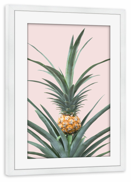 Poster mit Rahmen weiß "Pineapple Plant" artboxONE - Floral - Pineapple,Plant,Pflanze,Ananas,Leaf,Leaves,Blatt,Blätter