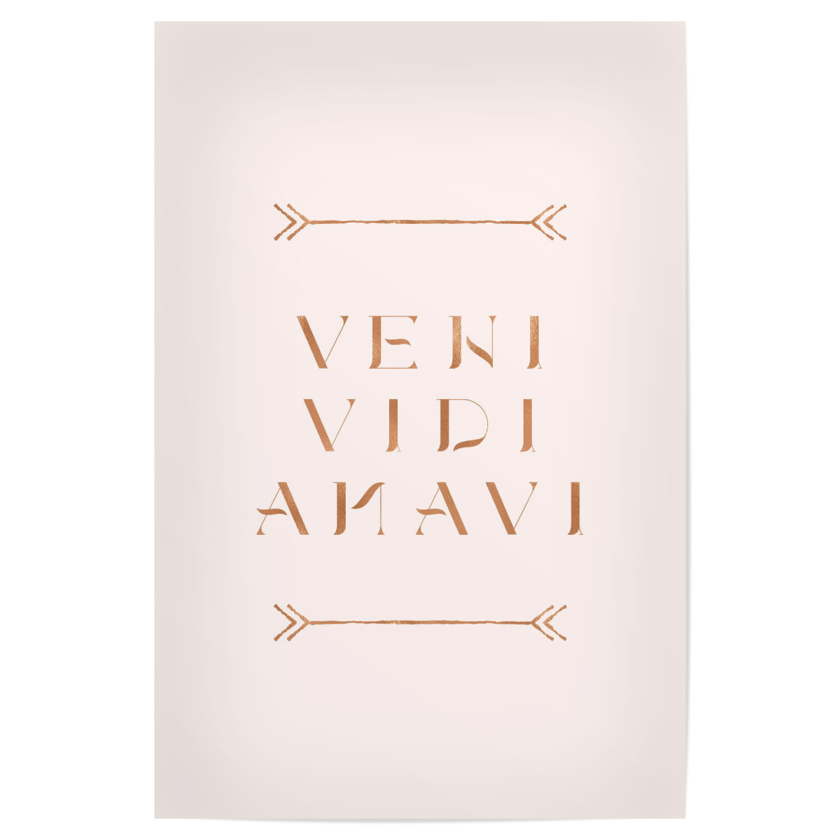 Snails Veni Vidi Amavi