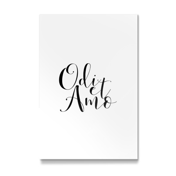 Galerie-Print "Odi et Amo" 30x20 cm artboxONE