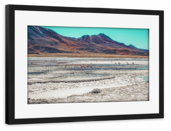 Poster mit Rahmen schwarz "Wild flamingos" artboxONE - Natur,Reise,Tiere - Mountain,Desert,Sand,Flamingo
