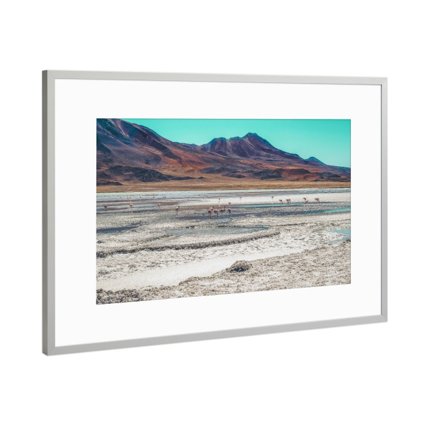 Poster mit Rahmen Silber "Wild flamingos" artboxONE - Natur,Reise,Tiere - Mountain,Desert,Sand,Flamingo