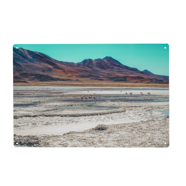 Metall Poster "Wild flamingos" artboxONE - Natur,Reise,Tiere - Mountain,Desert,Sand,Flamingo - Blechschild