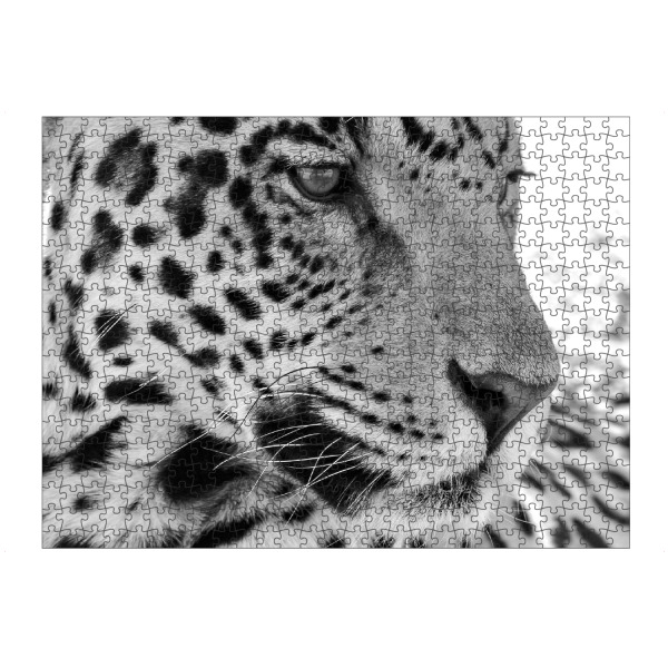 artboxONE Puzzle "Jaguar Portrait" artboxONE - Tiere,Schwarzweiß - Afrika,Leopard - Bild afrika