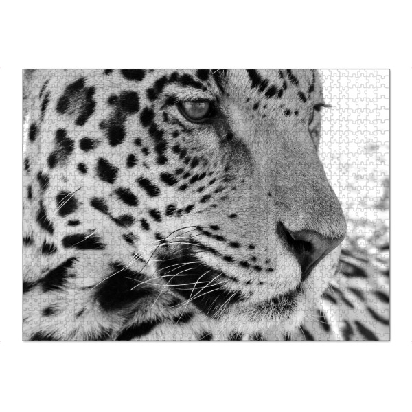 Puzzle Ravensburger "Jaguar Portrait" artboxONE - Tiere,Schwarzweiß - Afrika,Leopard - Bild afrika