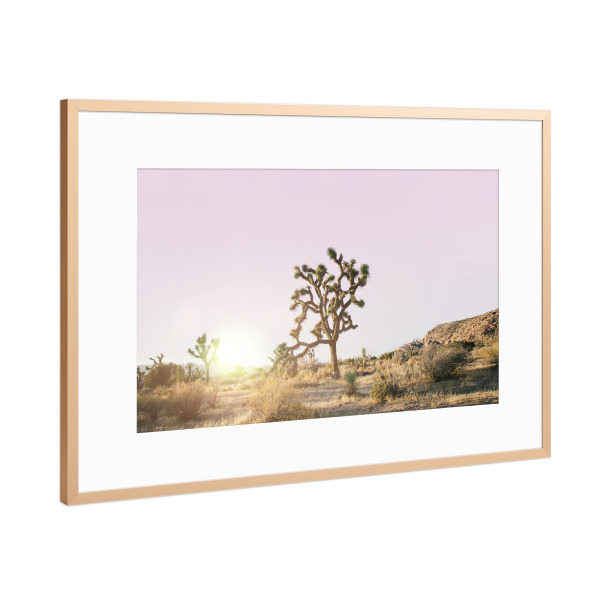 Poster mit Rahmen Kupfer "Rosé Joshua Tree" artboxONE - Natur,Reise - Desert,Joshua,Tree,Baum,Wüste,Sunset,Sonnenuntergang