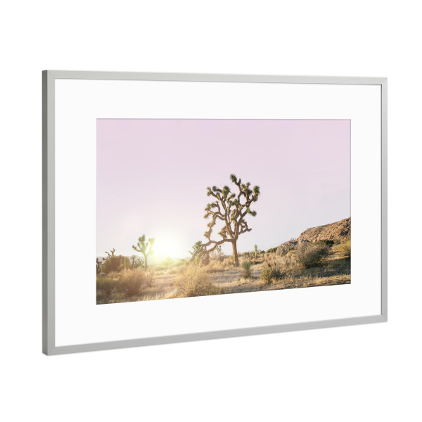 Poster mit Rahmen Silber "Rosé Joshua Tree" artboxONE - Natur,Reise - Desert,Joshua,Tree,Baum,Wüste,Sunset,Sonnenuntergang