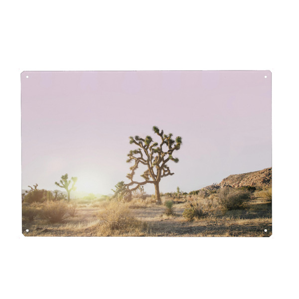 Holzbild "Rosé Joshua Tree" artboxONE - Natur,Reise - Desert,Joshua,Tree,Baum,Wüste,Sunset,Sonnenuntergang