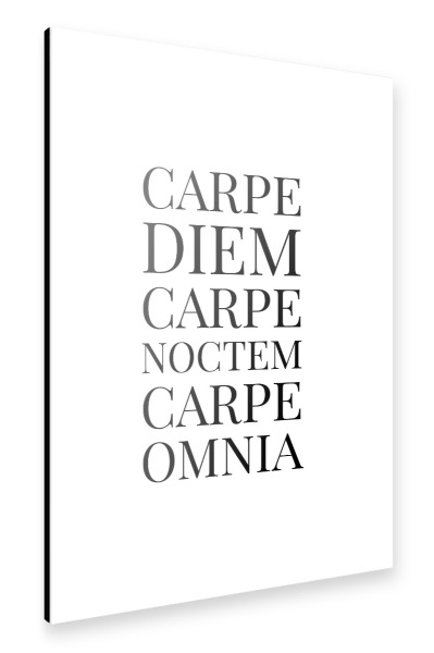 Alu-Dibond "Carpe Diem Carpe Noctem" 30x20 cm artboxONE